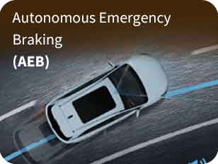 Autonomous Emergency Braking (AEB)