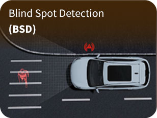 Blind Spot Detection (BSD)