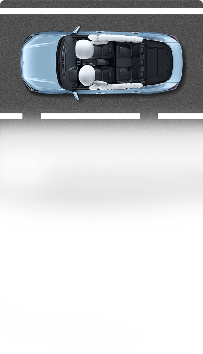 C-NCAP Body